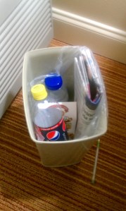 Courtyard Trash Can 6