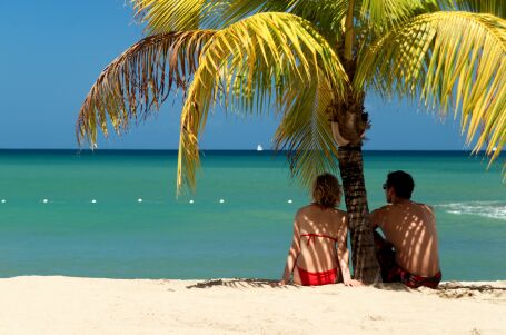 Two sitting under palm tree 072112